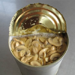 canned sliced champignon mushroom 3100ml