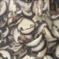 canned shiitake mushroom sliced 3100ml