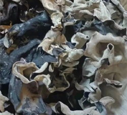 Dried black fungus