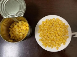 canned sweet corn